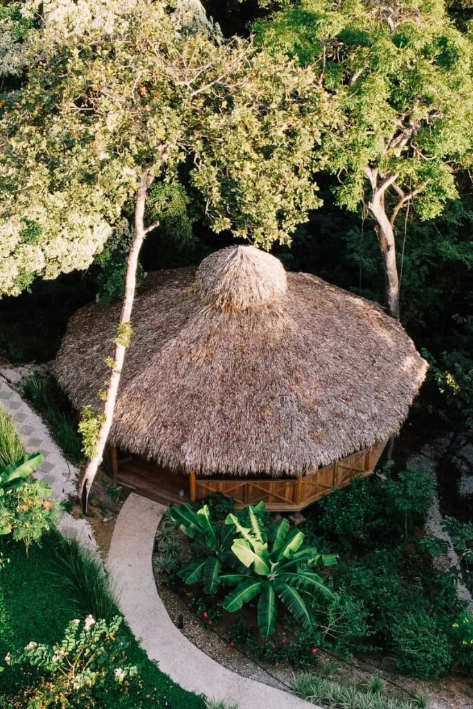 Inmersiones de Huachuma (San Pedro)