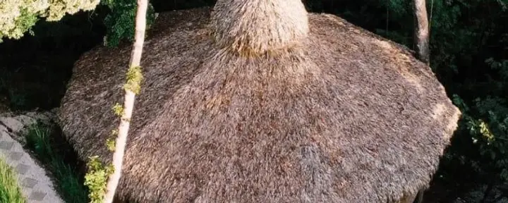Inmersiones de Huachuma (San Pedro)