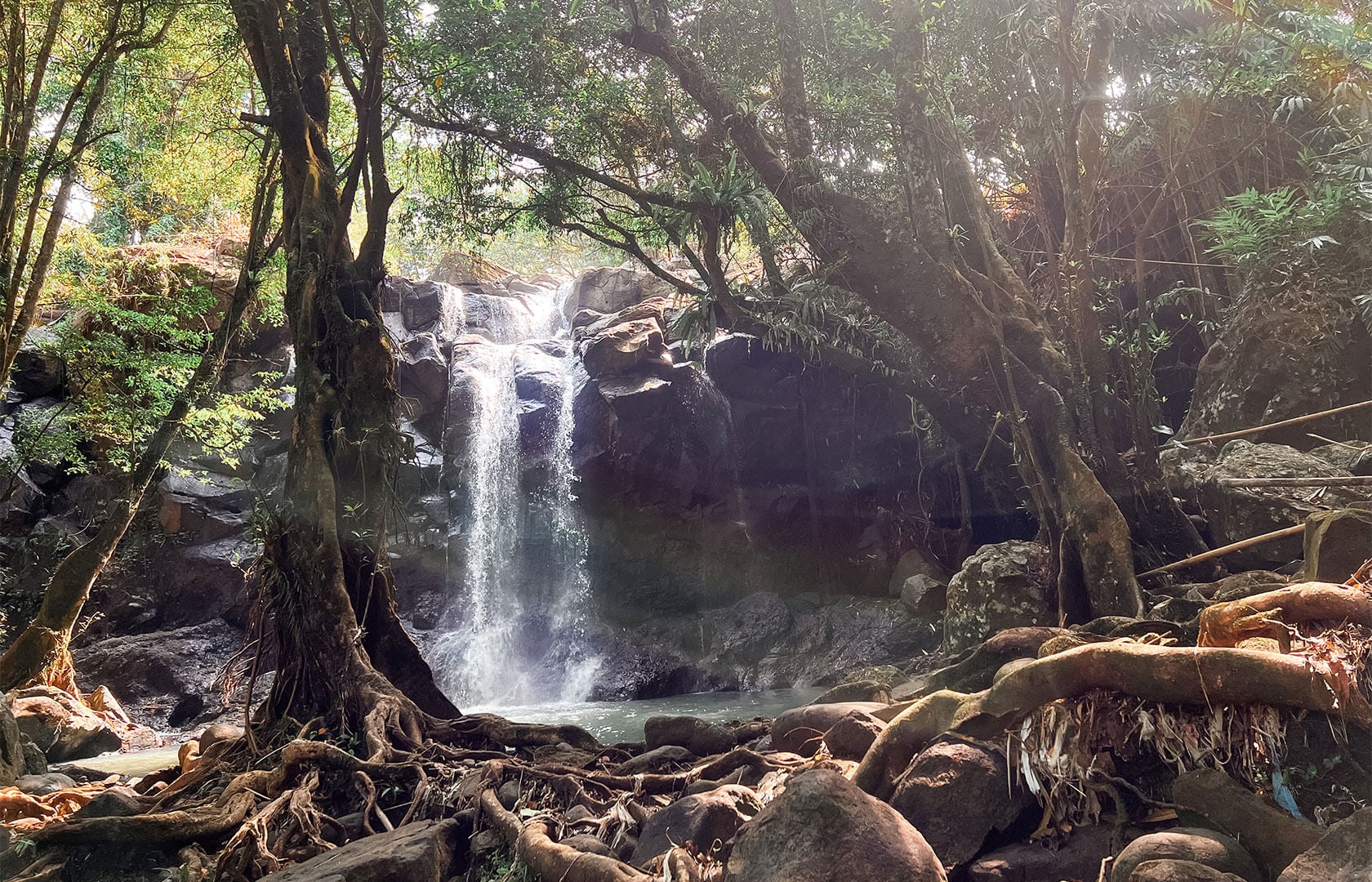 5 Días Retiro de lujo en la selva tropical, yoga y bienestar en Bali