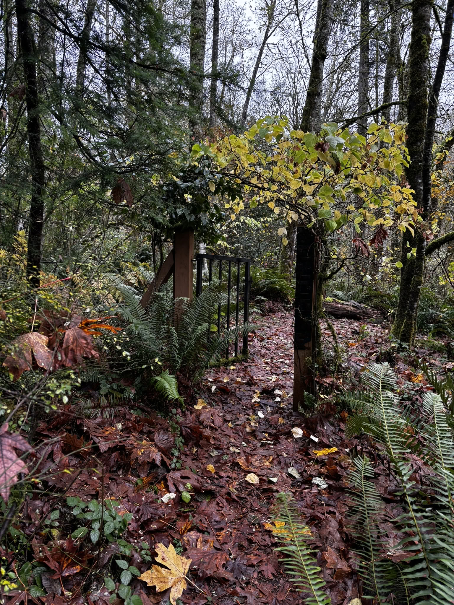 Retiro Personal de Un Día