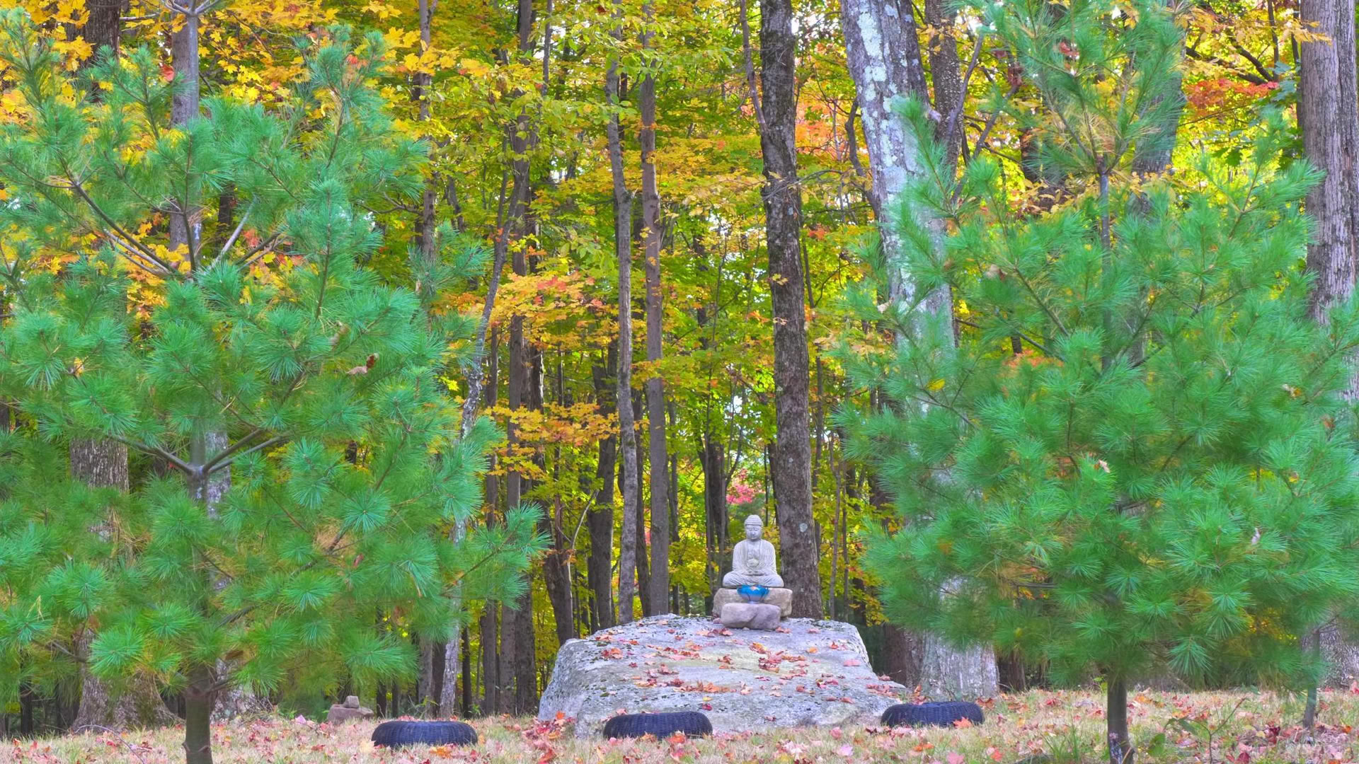 Retiro de la Sangha Triratna NY-NJ