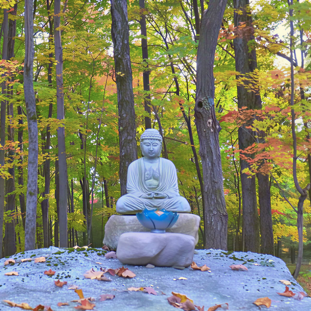 Upcoming Programs by John Henderson – The Power of Silence: Un retiro silencioso para cuerpo, mente y espíritu