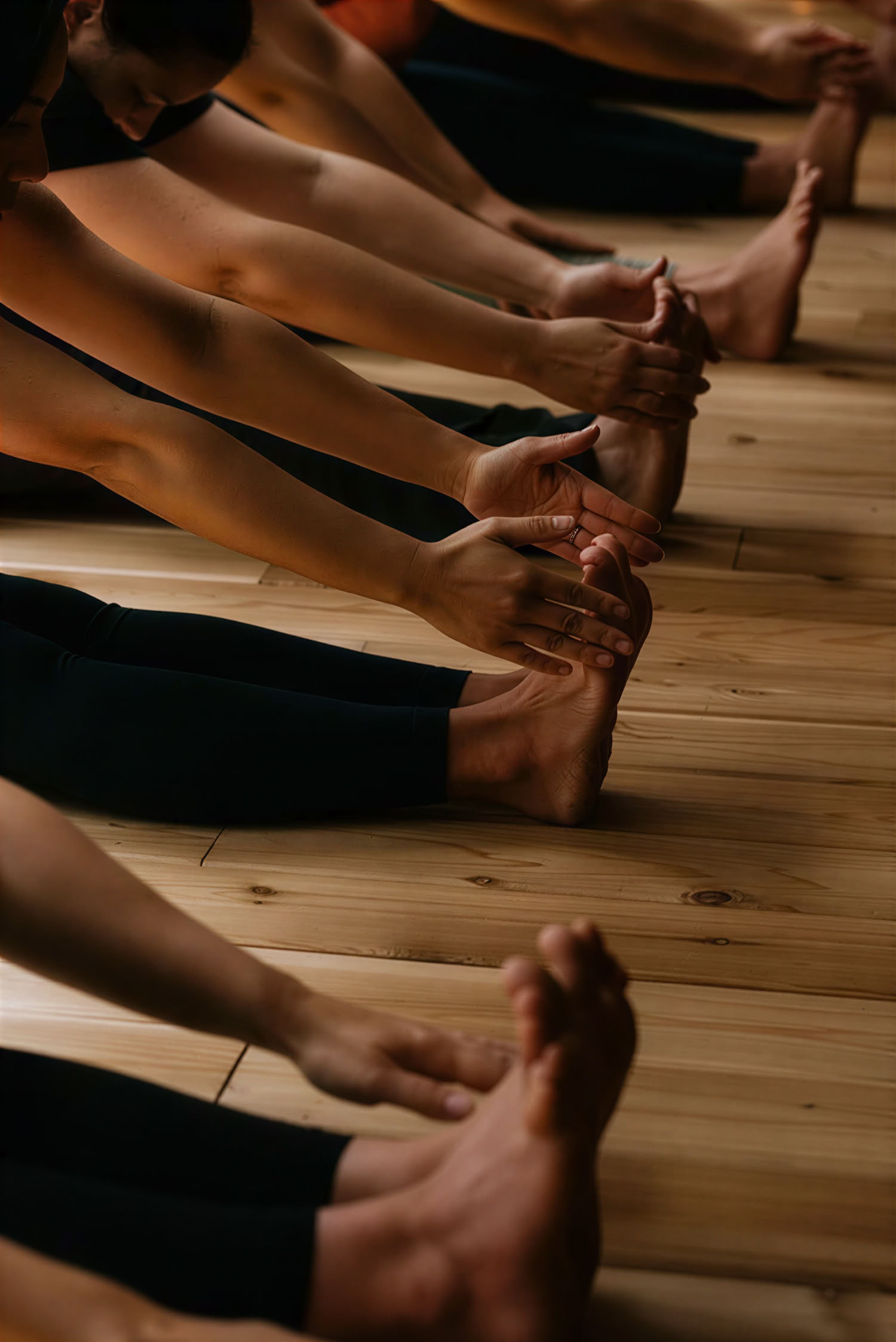 Retiro de Mindfulness de un Día