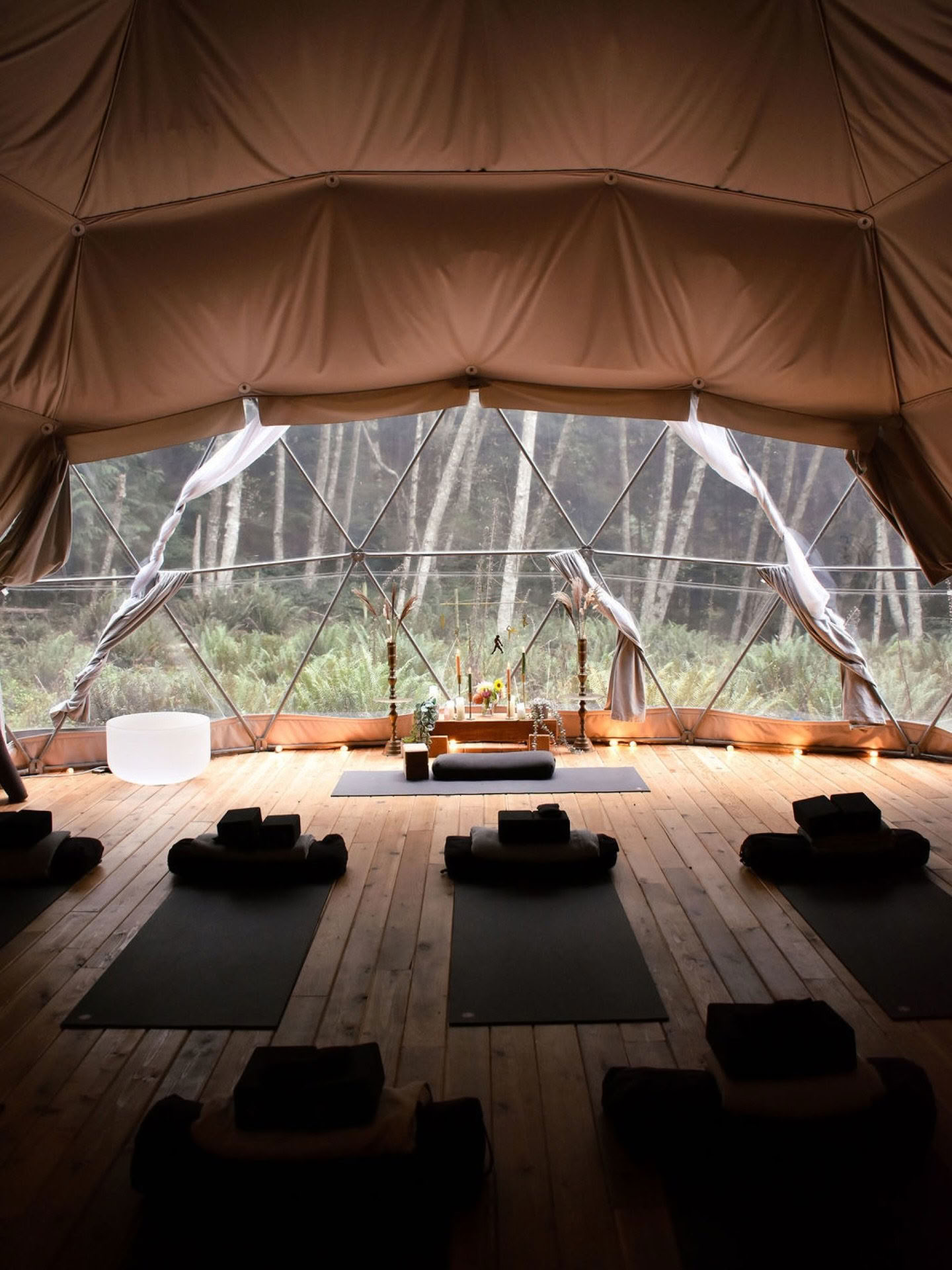 Formación de profesorado de Breathwork y Pranayama con Carolyn Anne Budgell + Nectar Yoga — Nectar Yoga