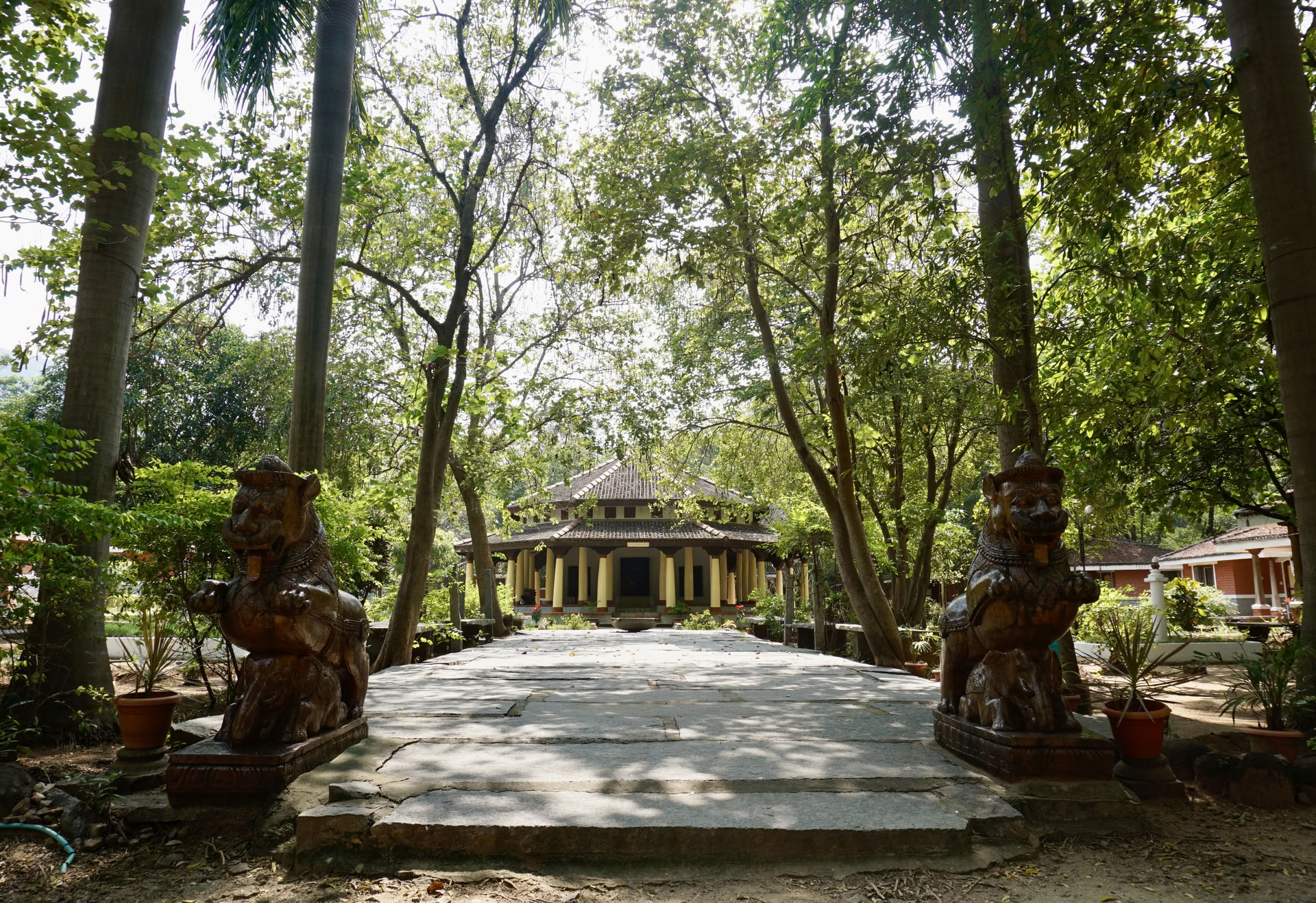 Jan 24 21 Day Retiro de Meditación Silenciosa y Desintoxicación Ashram India