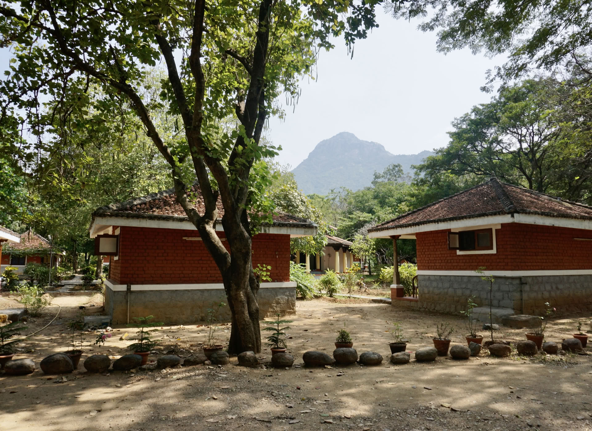 Jan 24 21 Day Retiro de Meditación Silenciosa y Desintoxicación Ashram India