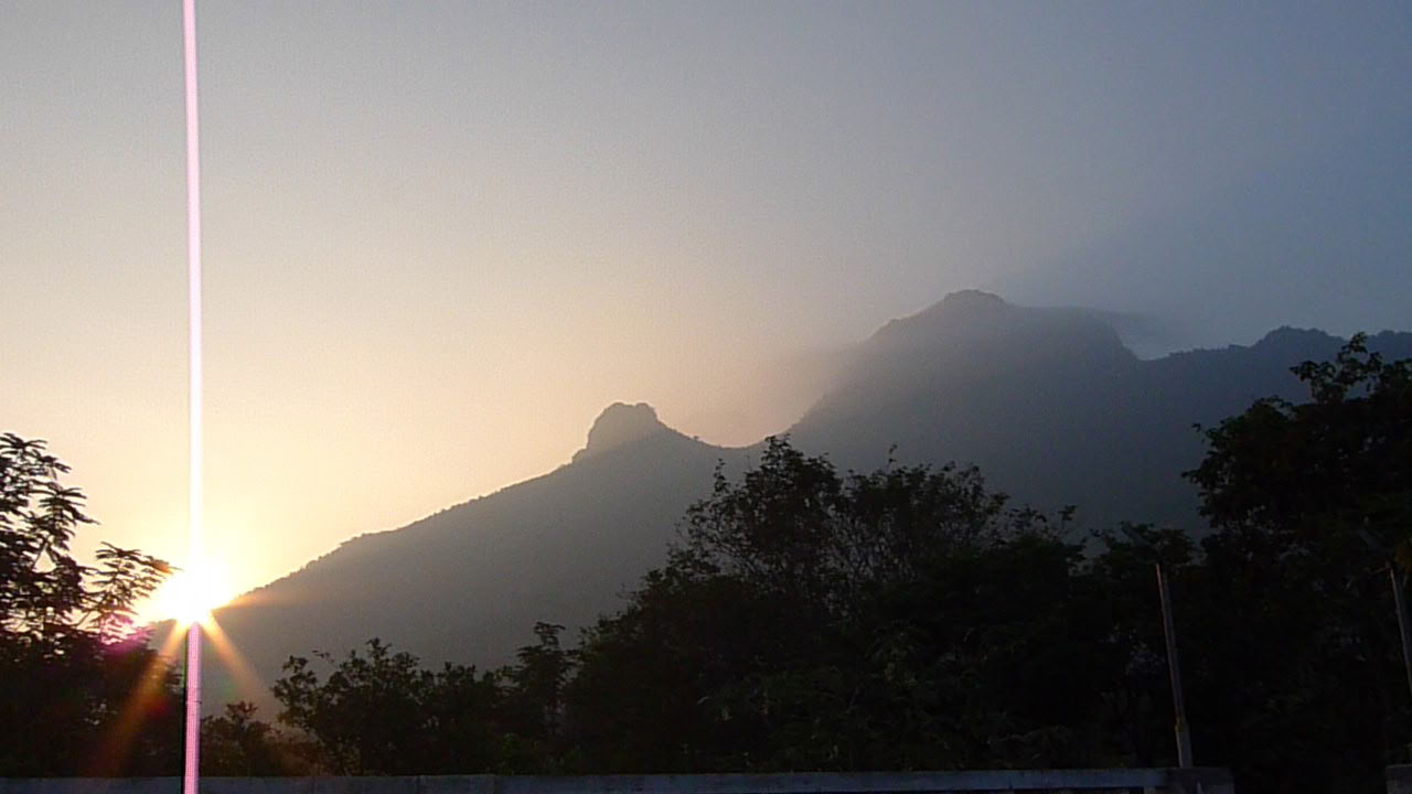 Jan 24 21 Day Retiro de Meditación Silenciosa y Desintoxicación Ashram India