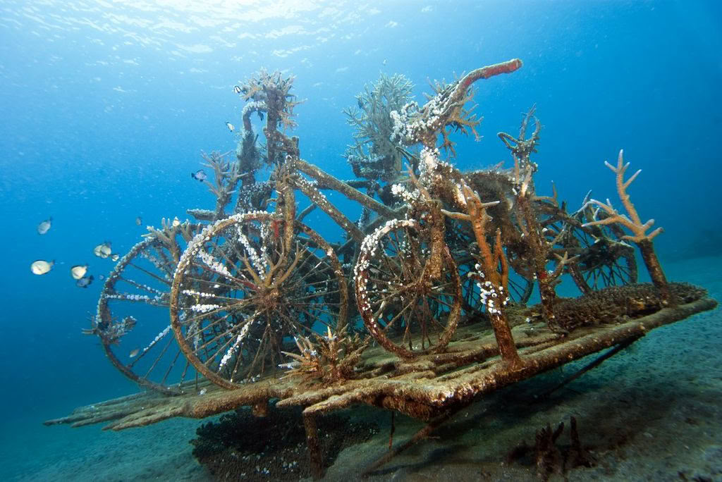 Tour de Pemuteran con snorkel