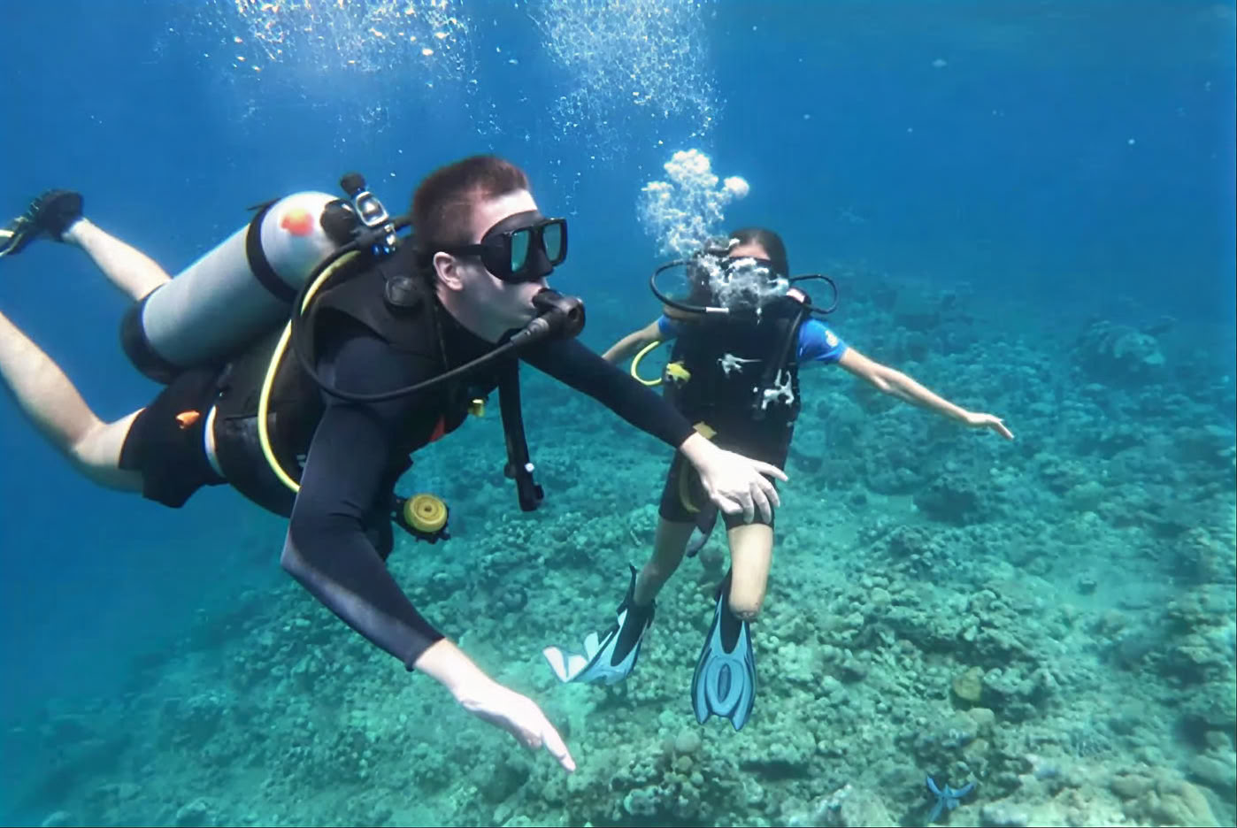 Menjangan Island - Tour de buceo divertido