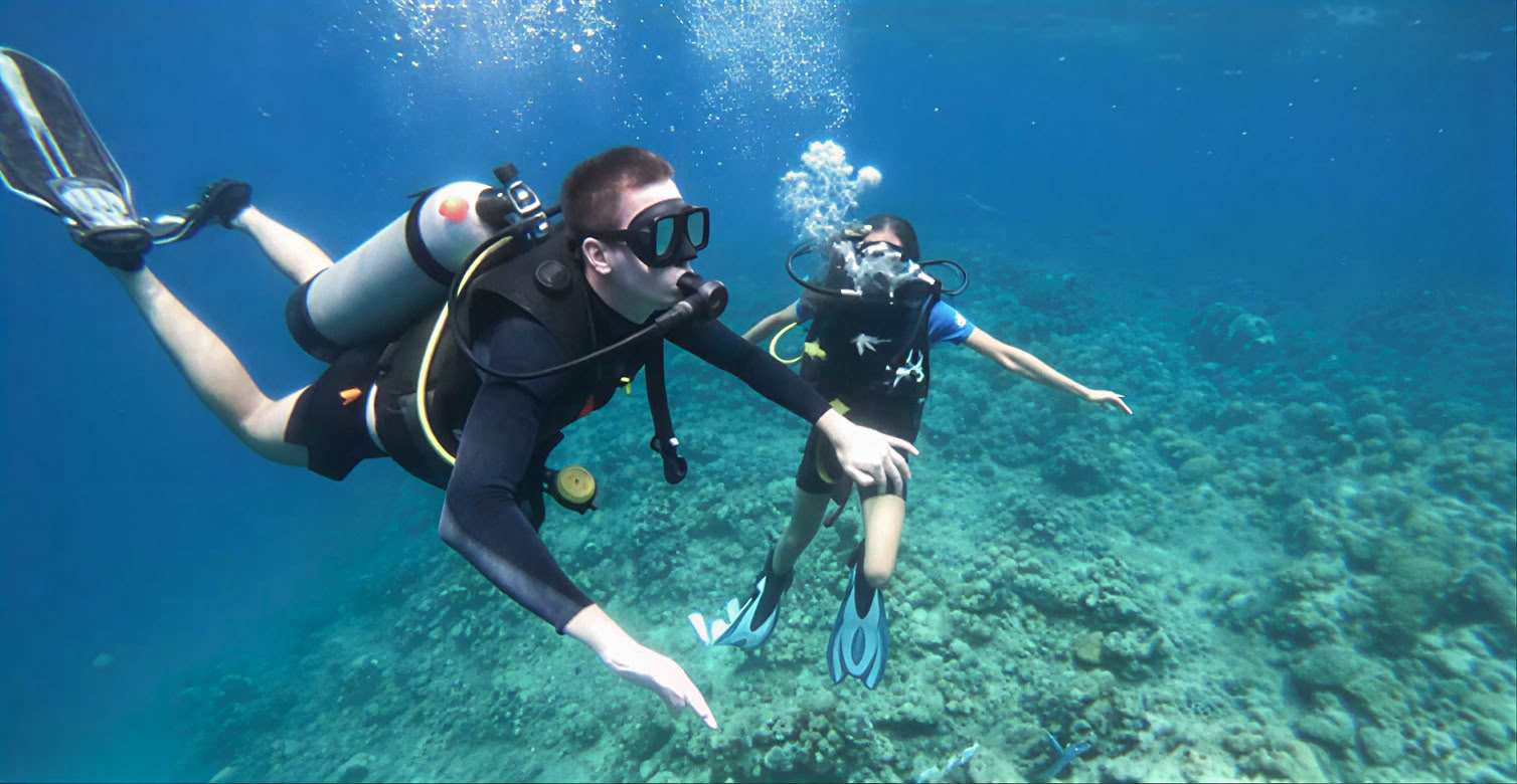 Menjangan Island - Tour de buceo divertido