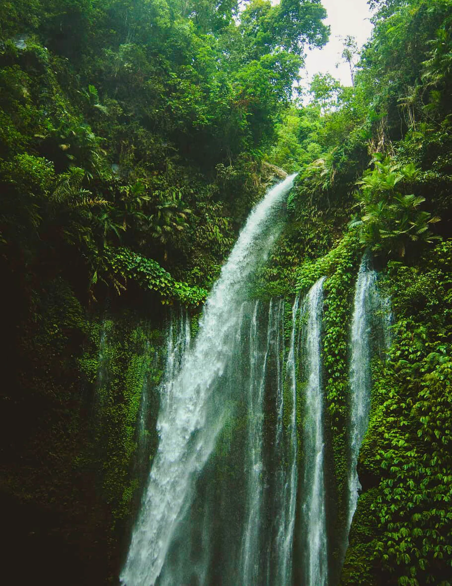 ZEN TREKKING Y DESCUBRIMIENTO DE CASCADAS