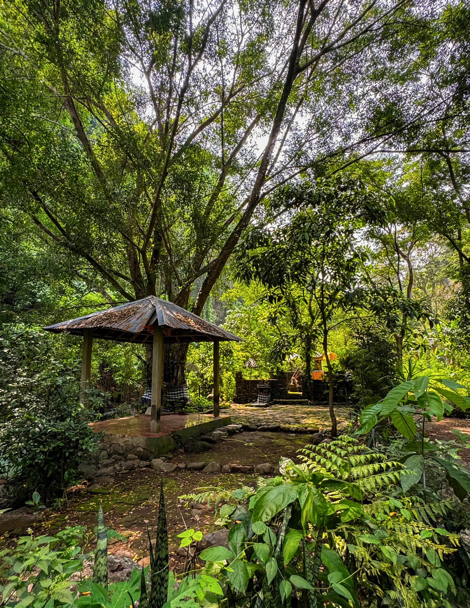 ZEN TREKKING Y DESCUBRIMIENTO DE CASCADAS