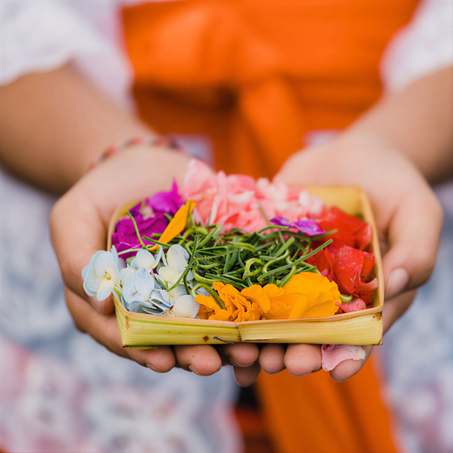 UBUD STORY WALKS