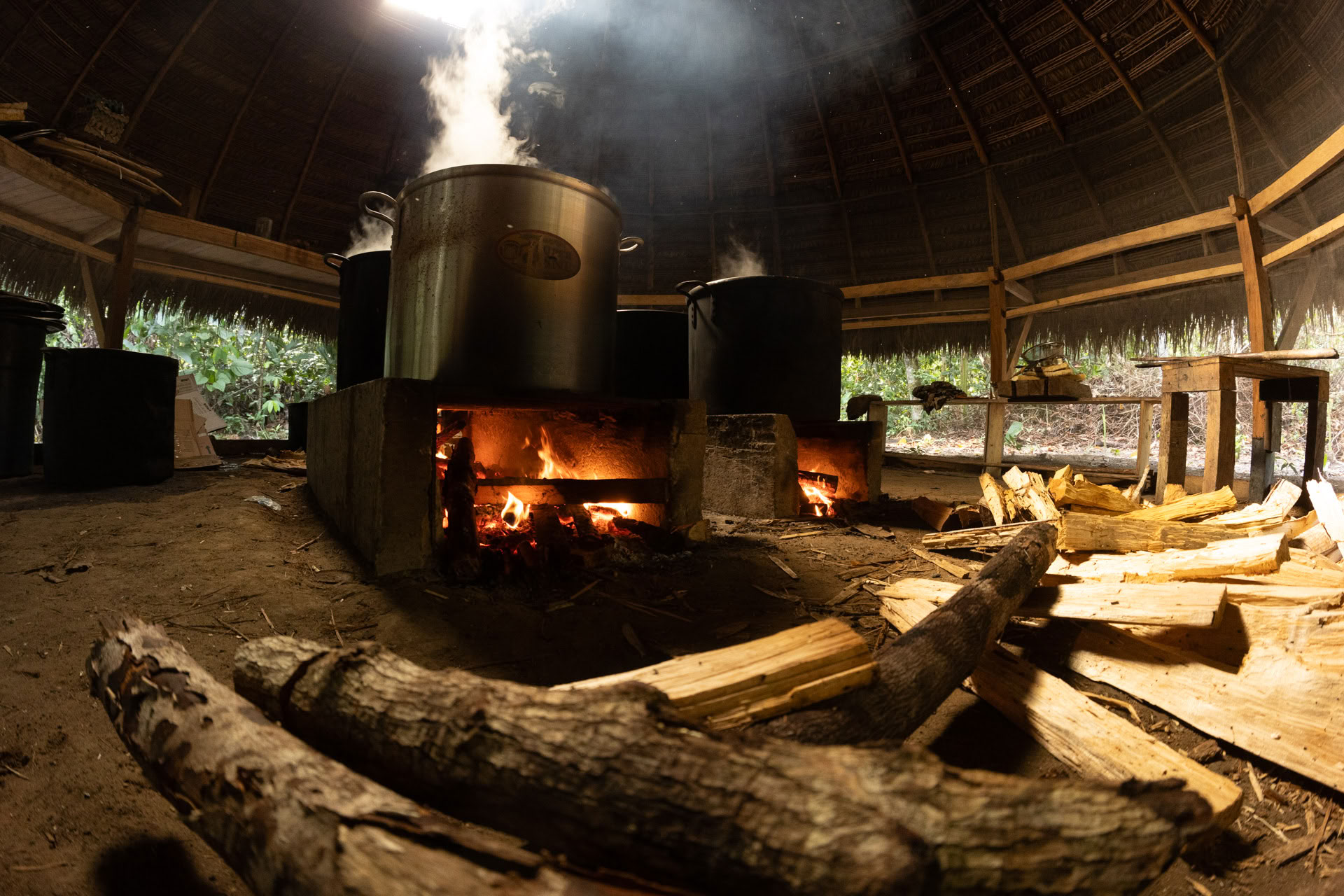 Otwarty retiro ayahuaskowy w Psychonauta Tribe