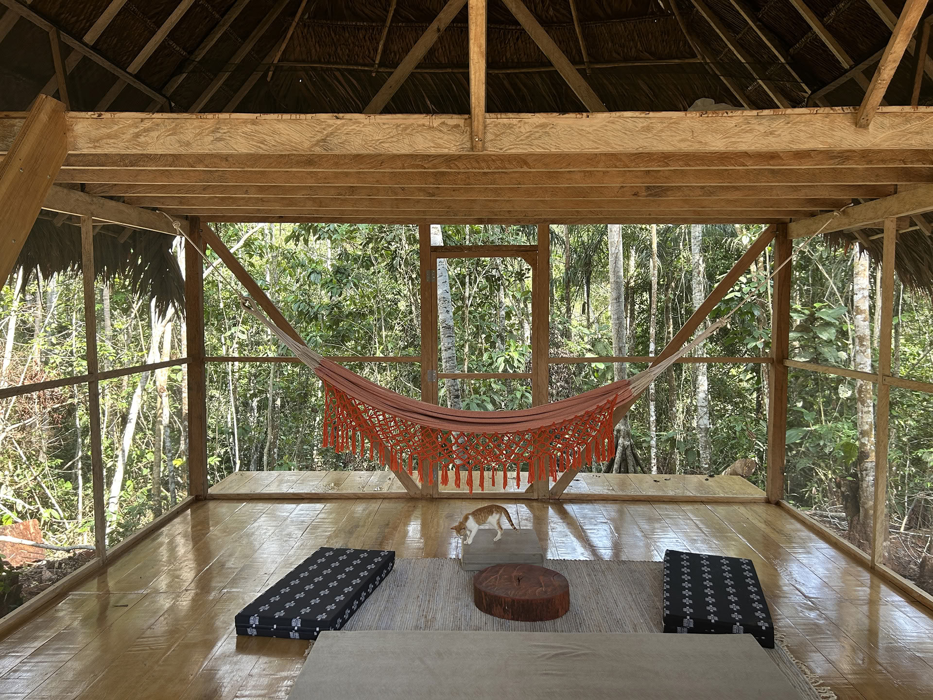 Otwarty retiro ayahuaskowy w Psychonauta Tribe