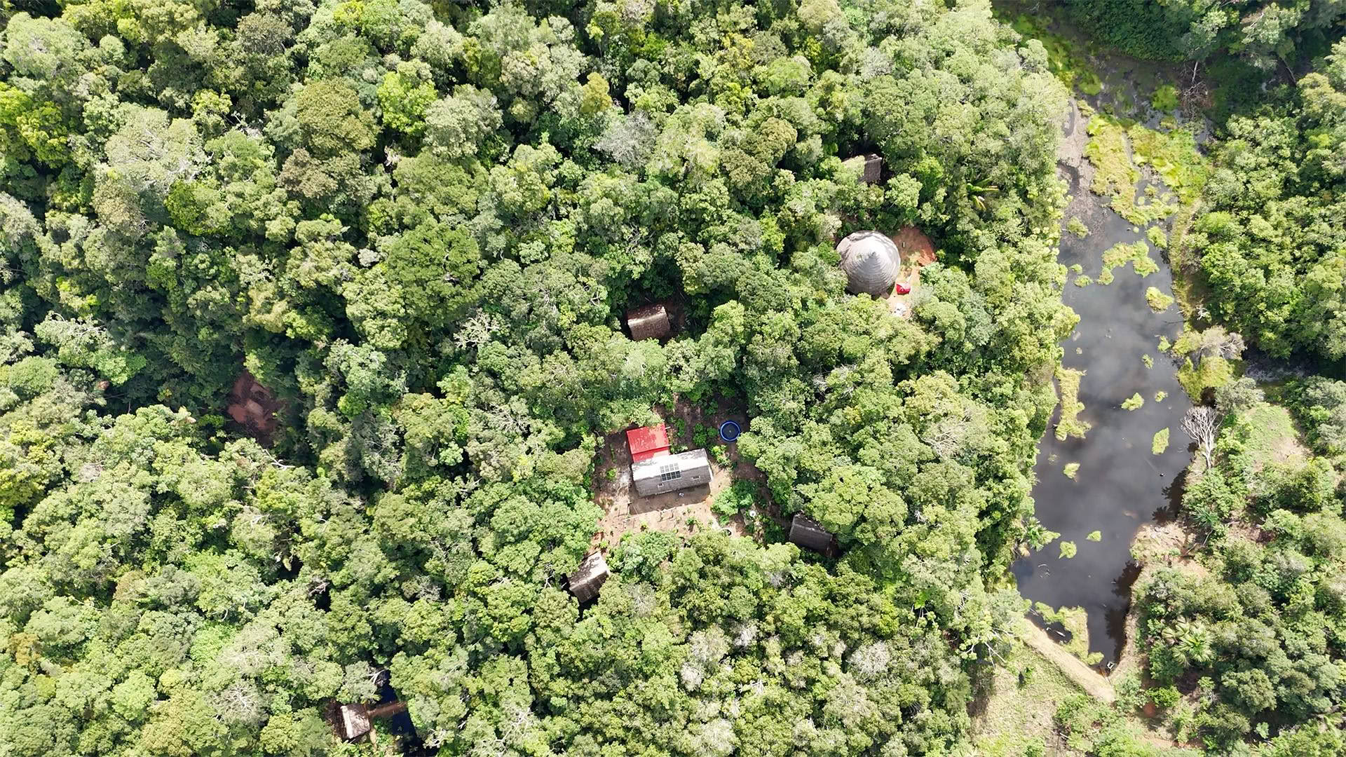 Otwarty retiro ayahuaskowy w Psychonauta Tribe