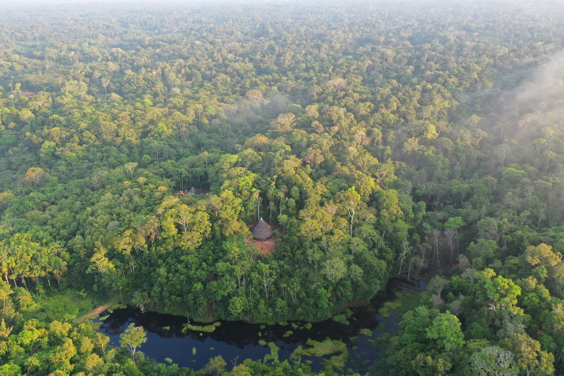 Retiro Abierto de Ayahuasca