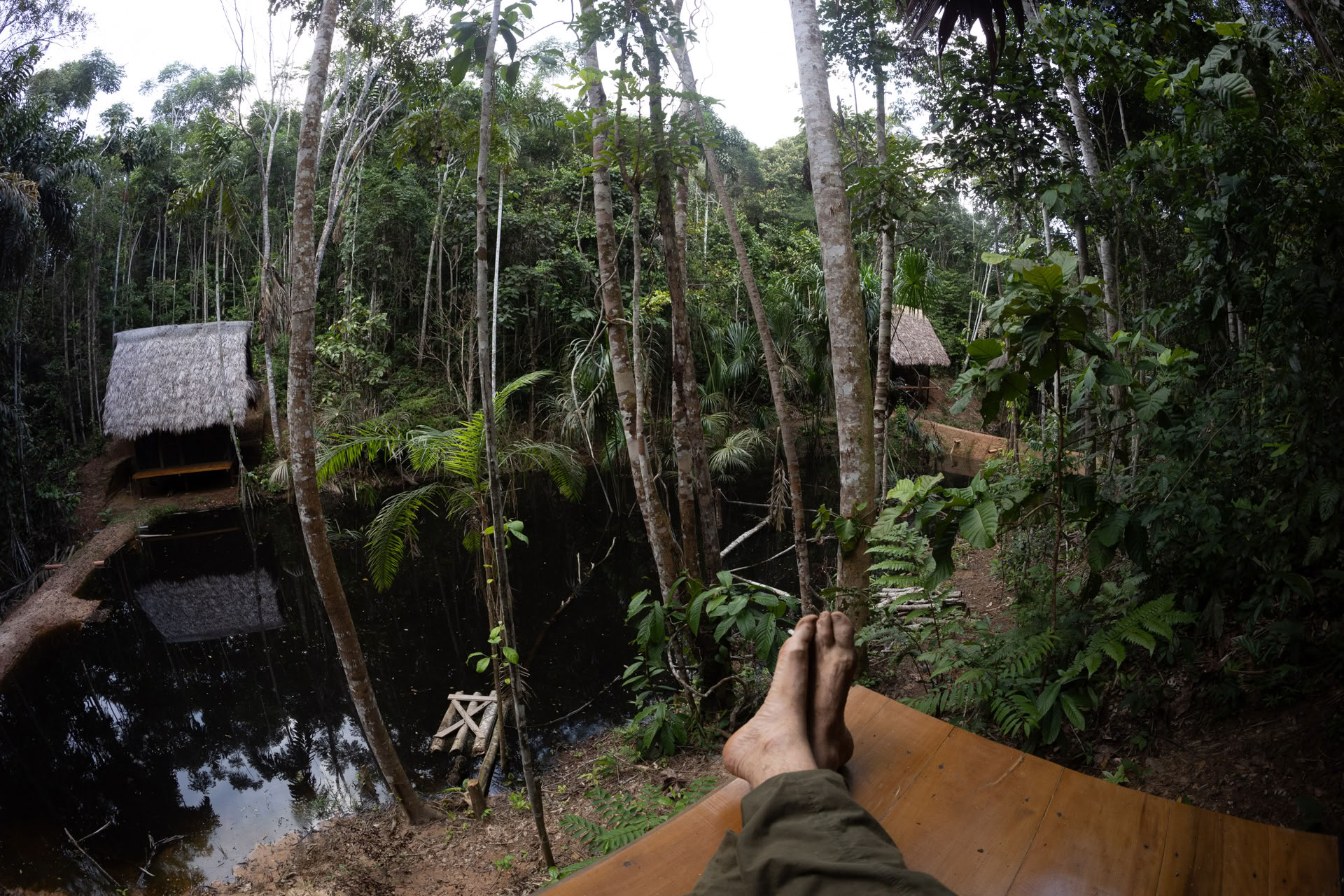 Retiro Abierto de Ayahuasca