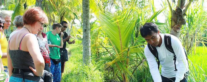 PASEO HERBAL POR LA NATURALEZA