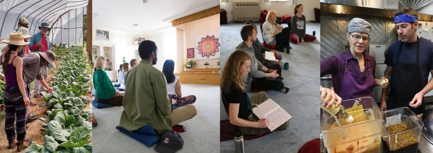 Living Yoga Training (LYT) – 19 Oct - 15 Nov