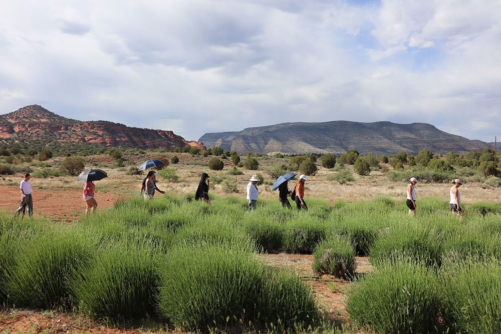 Retiro de Sanación del Vórtice de Sedona