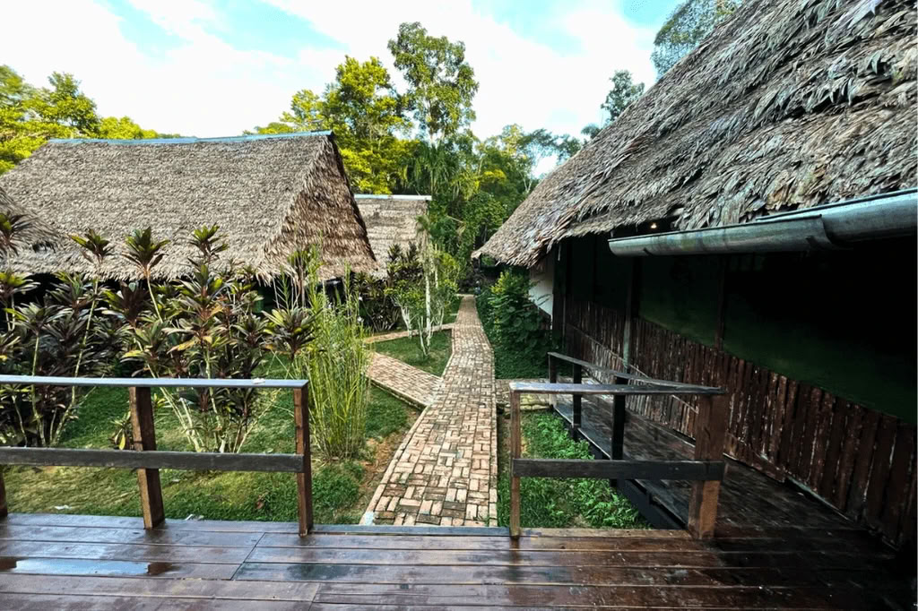 Amazonas - Blue Morpho Lodge 3 ayahuasca y 1 San Pedro