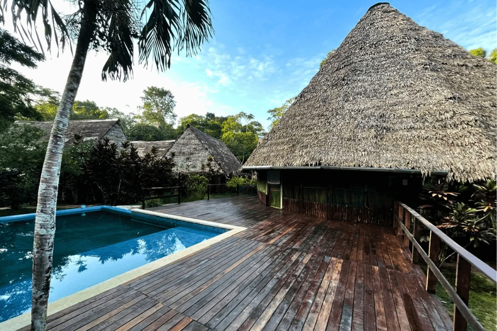 Amazonas - Blue Morpho Lodge 3 ayahuasca y 1 San Pedro