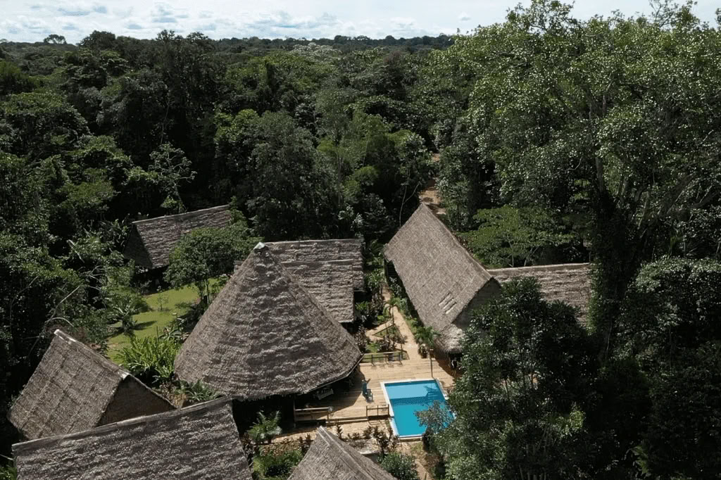 Amazonas - Blue Morpho Lodge 3 ayahuasca y 1 San Pedro