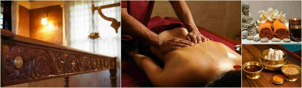 Curso de Ayurveda (Fundamentos) – diciembre de 2026