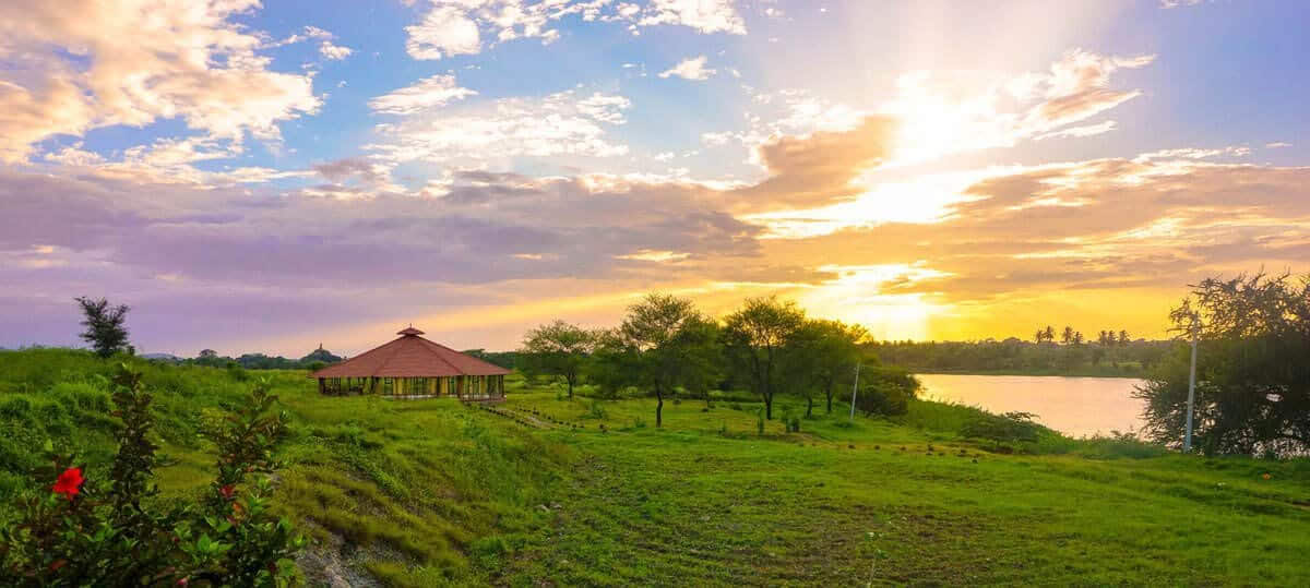 Formación de Profesores de Yoga de 200 Horas en India – 6 de octubre - 3 de noviembre de 2026