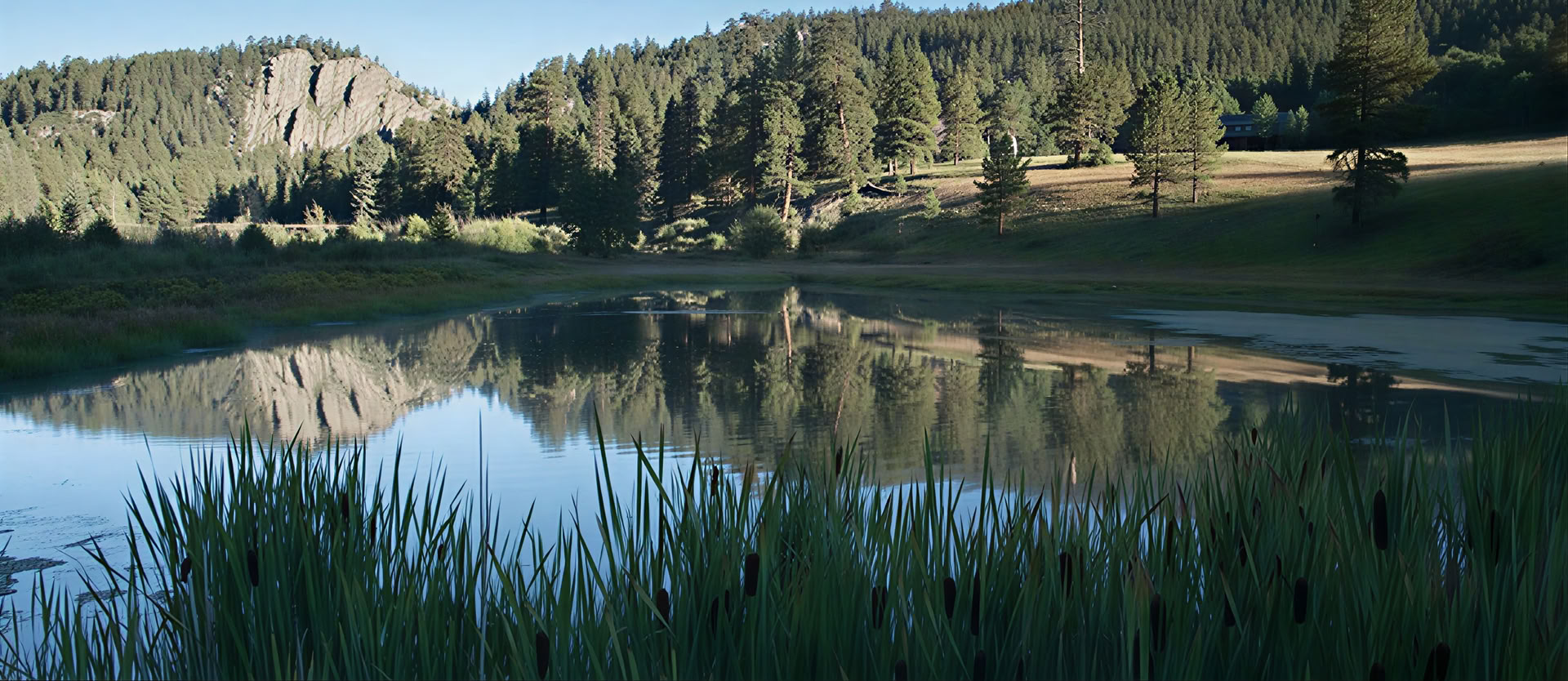 Meditación, Naturaleza y Despertar