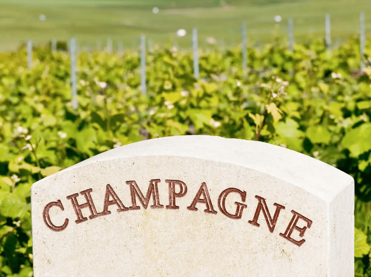 Champagne & Soul: Retiro de yoga + champán para mujeres (Reims, Francia)