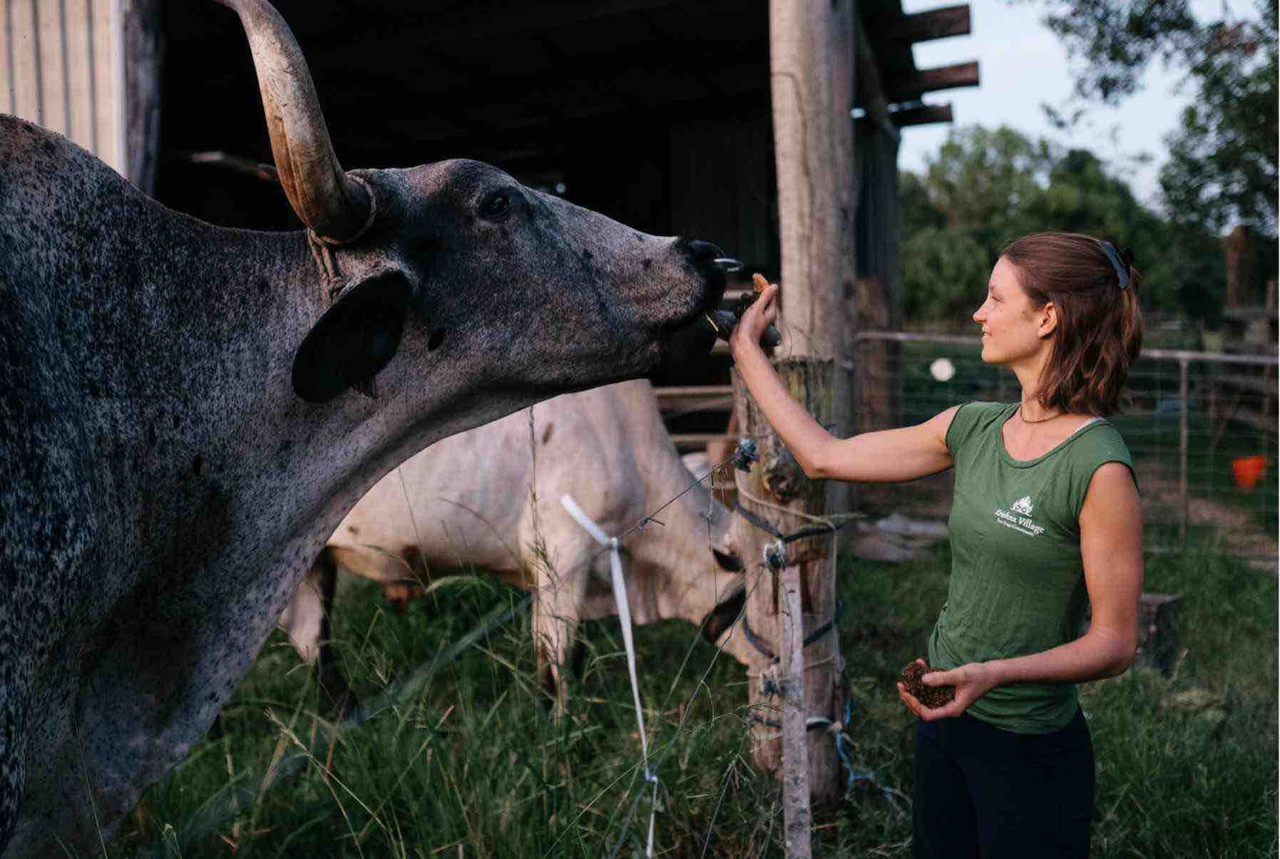Inmersión de retiro de formación de profesores de yoga de 200 horas
