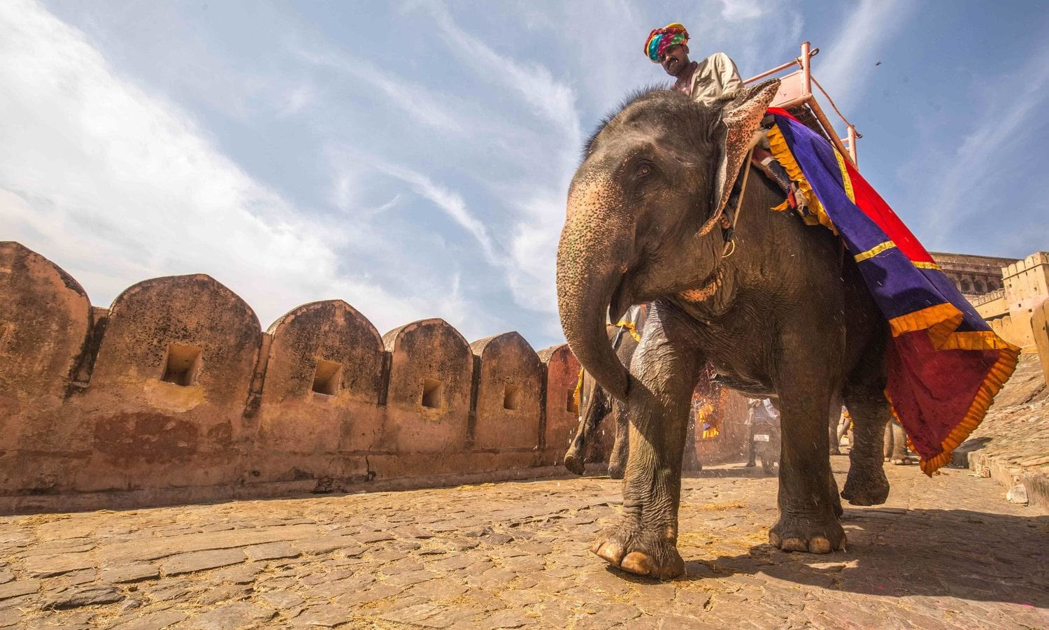 'Spirit of the Himalayas' Tour + Festival Holi en India