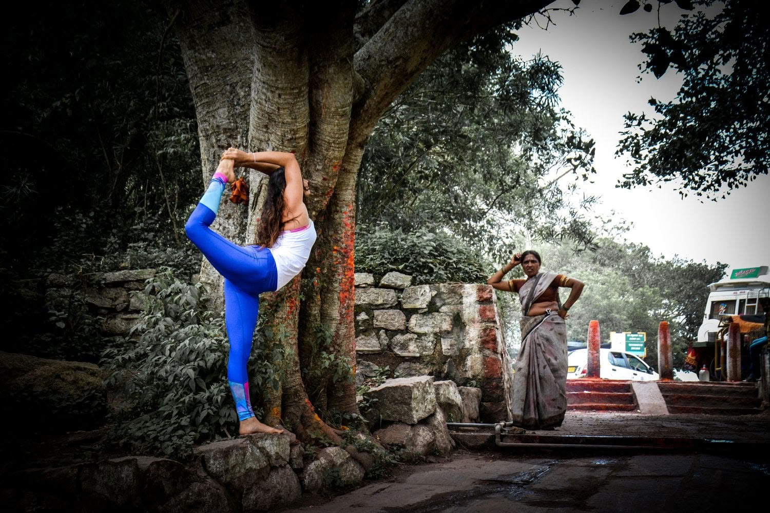 'Spirit of the Himalayas' Tour + Festival Holi en India