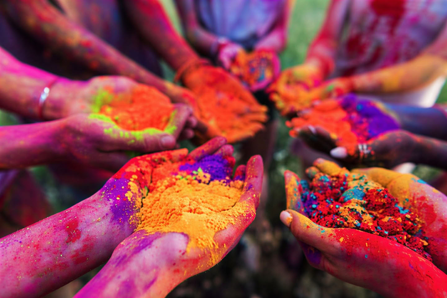'Spirit of the Himalayas' Tour + Festival Holi en India