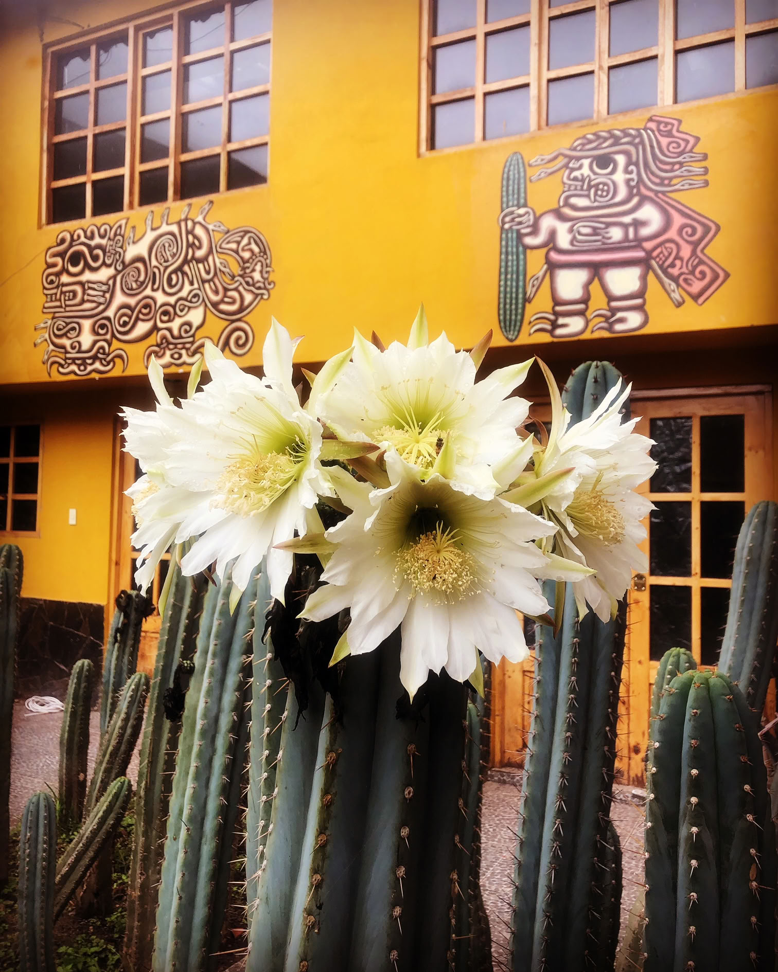 Ceremonia de San Pedro