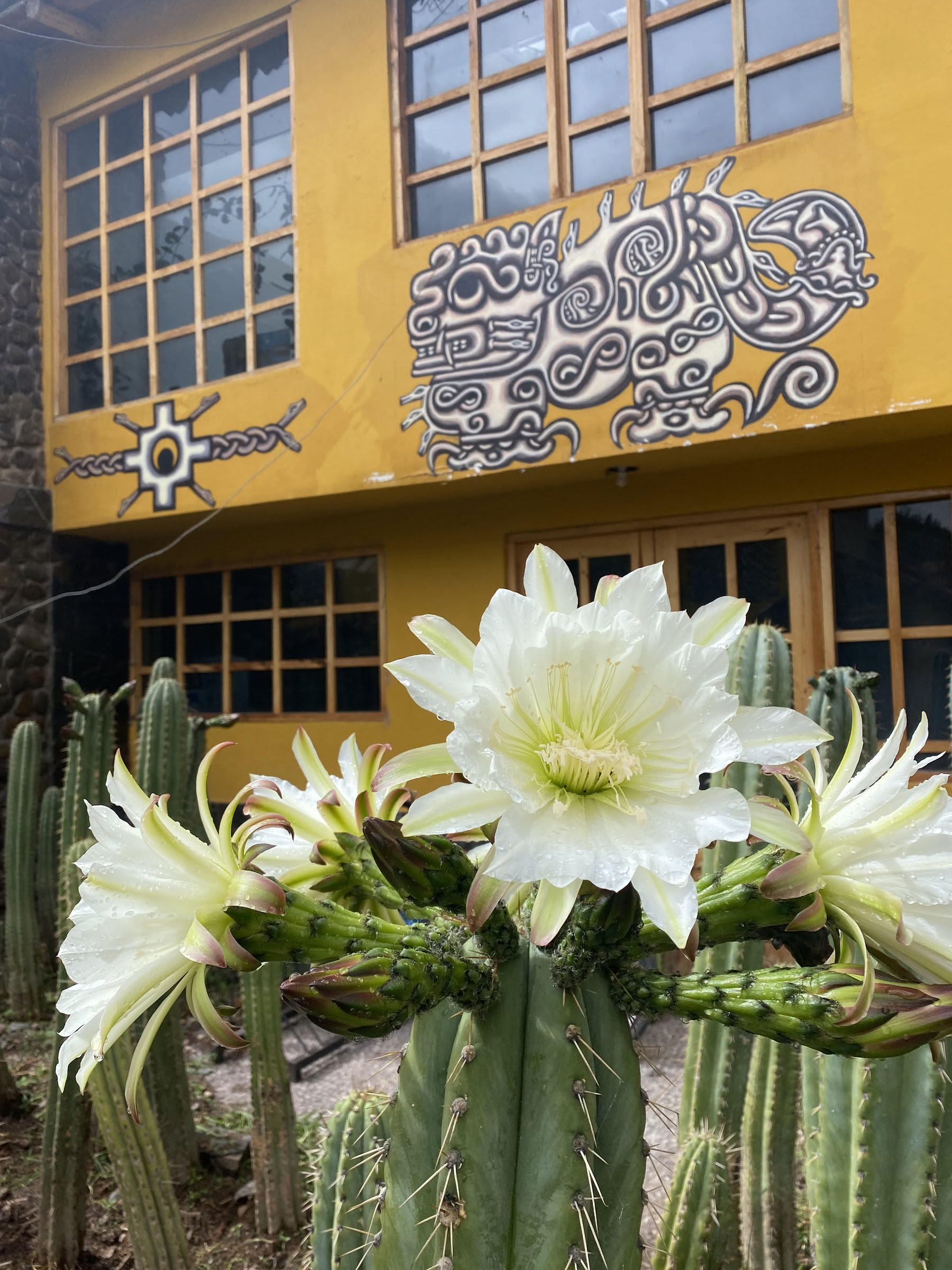 Ceremonia de San Pedro