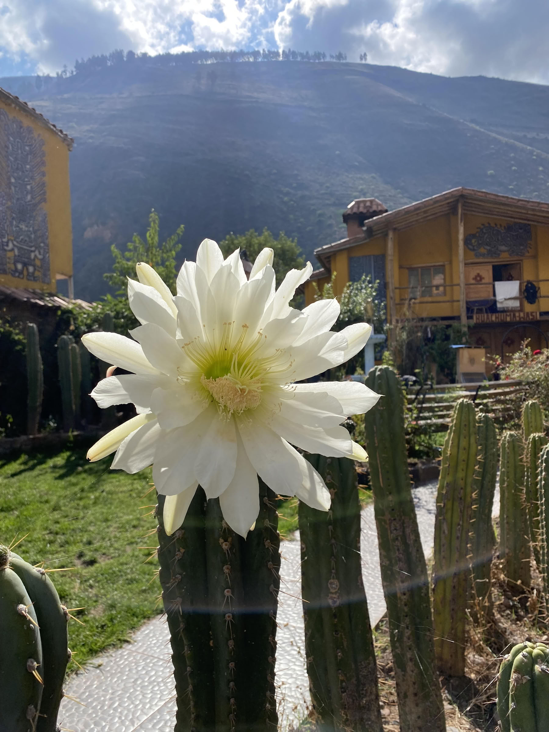 Ceremonia de San Pedro