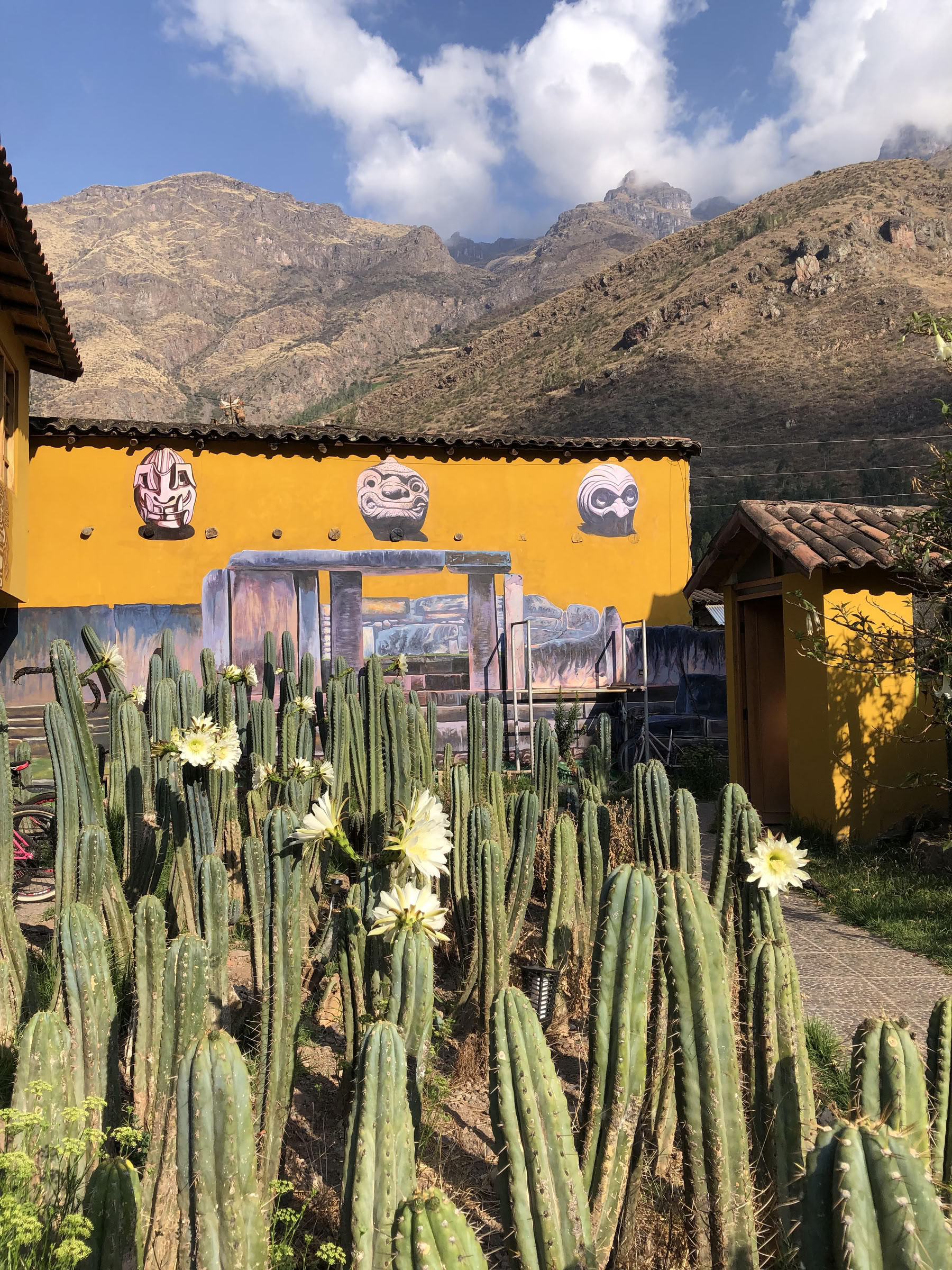 Ceremonia de San Pedro