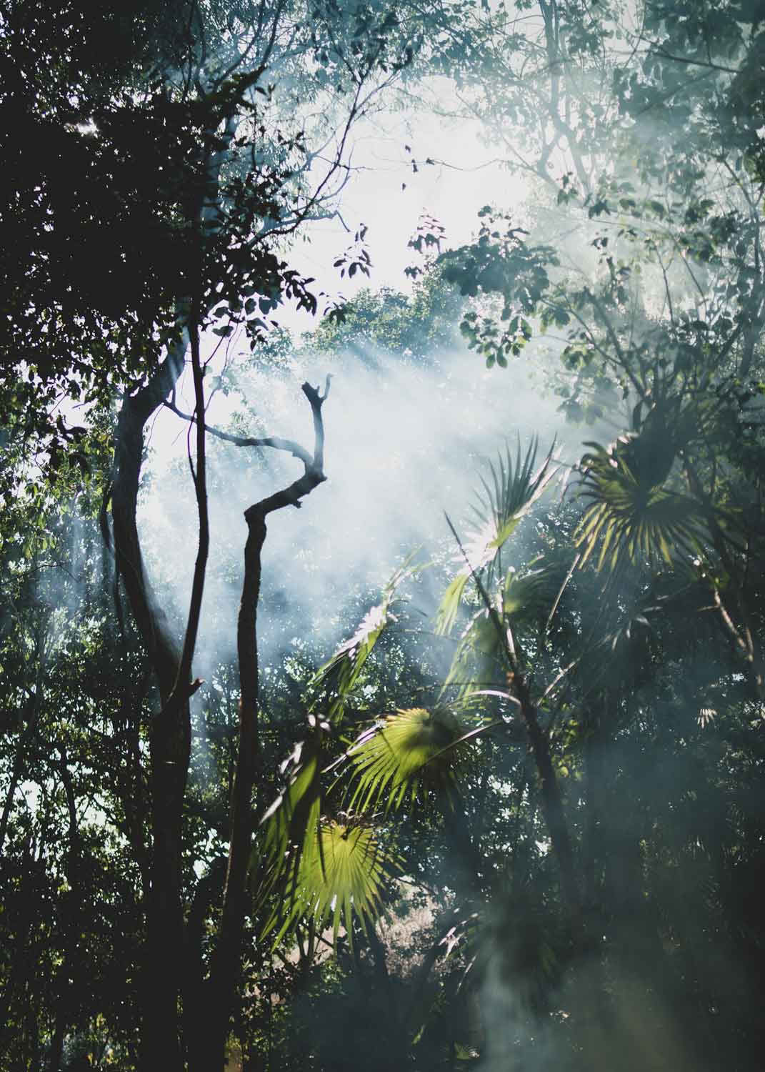 Sacred Flow Retiro – 9 - 16 de enero de 2027