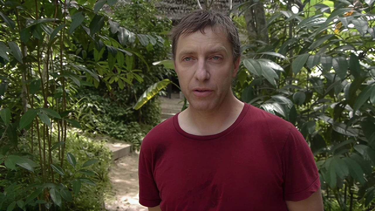 Ayahuasca Healing Retiro + Retiro de Integración de 5 Días