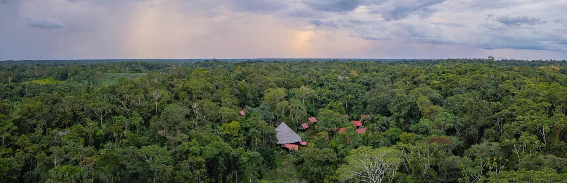 Retiro de sanación con ayahuasca para mujeres