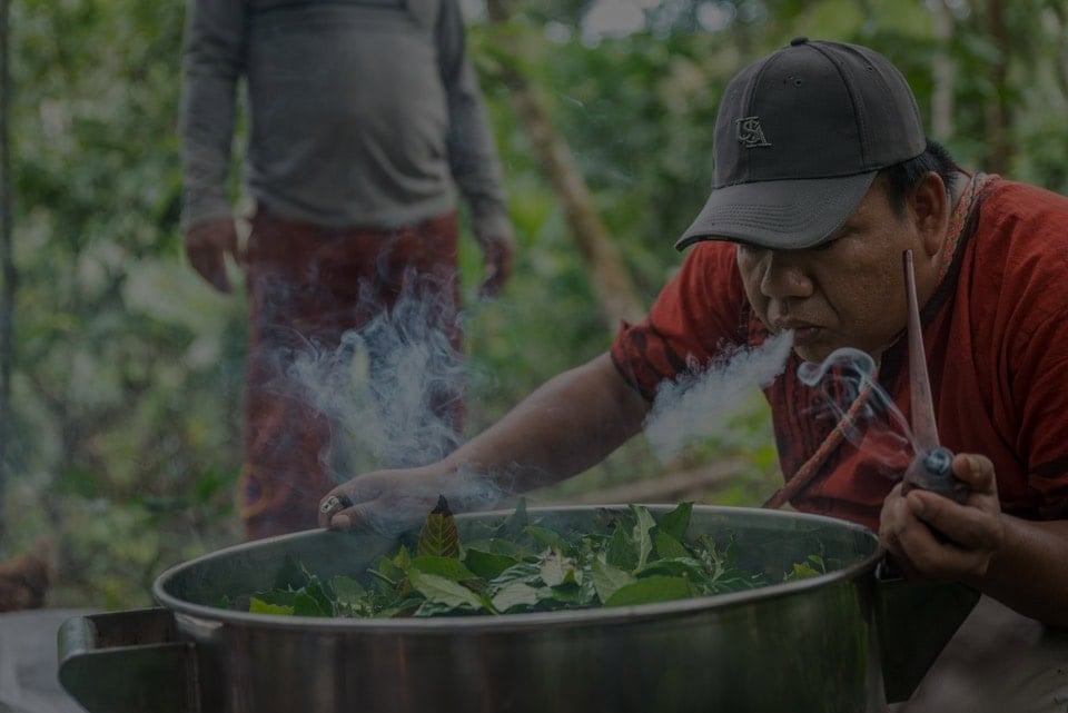 Retiro de sanación con ayahuasca para mujeres