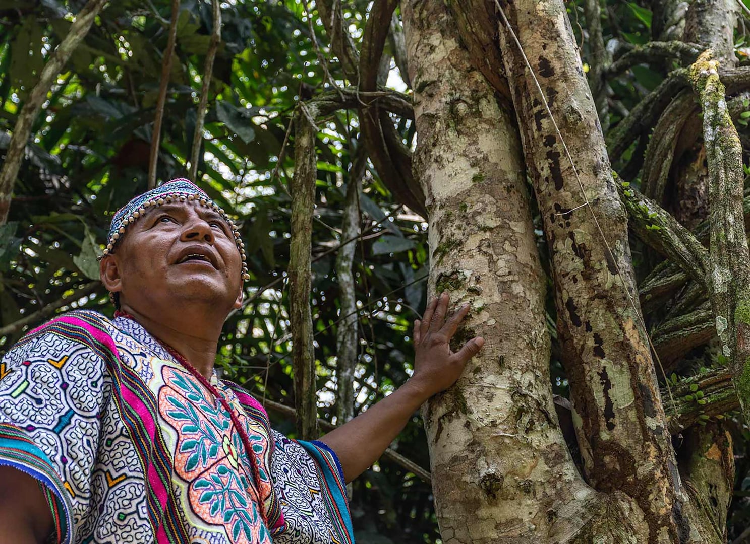 Retiro de sanación con ayahuasca para mujeres