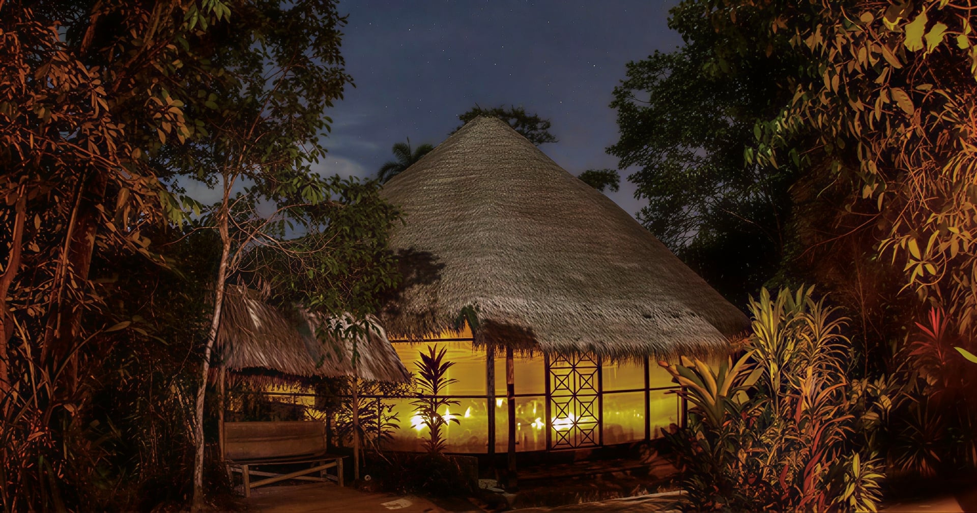 Retiro de sanación con ayahuasca para mujeres