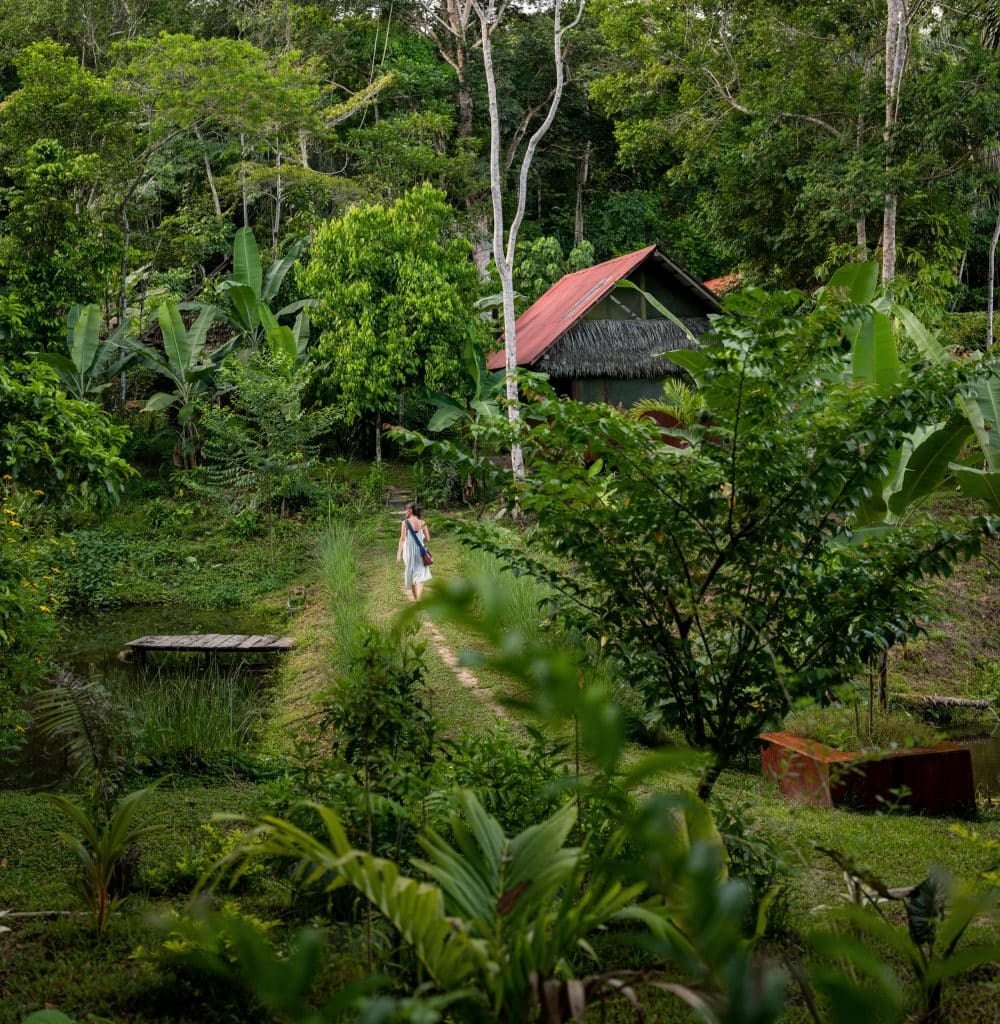 Retiro de sanación con ayahuasca para mujeres