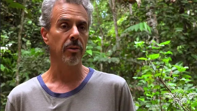 Retiro de sanación con ayahuasca para mujeres