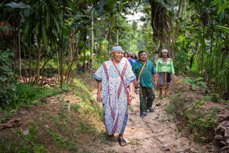Retiro de sanación con ayahuasca para mujeres
