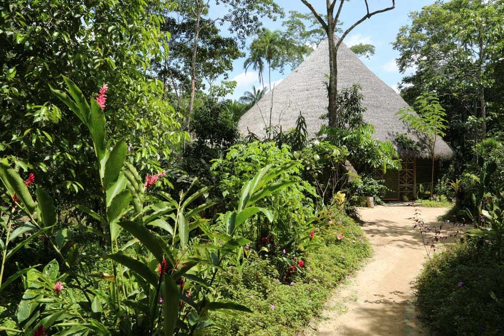 Retiro de sanación con ayahuasca para mujeres